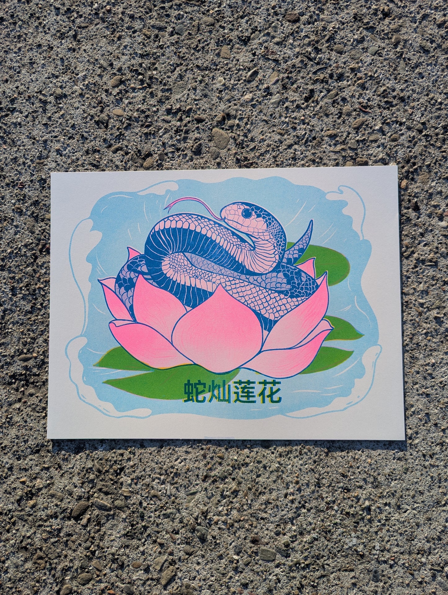 Year of the Snake | 8.5"x11" Risograph Print