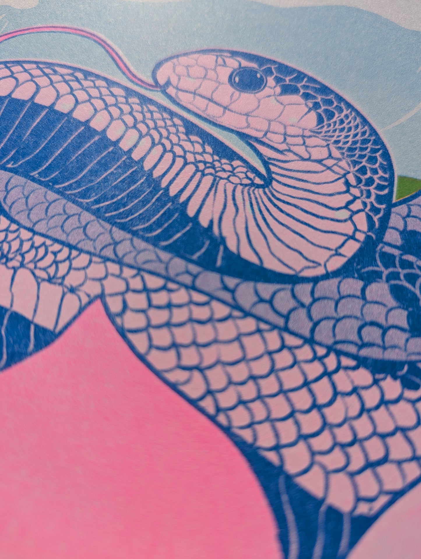 Year of the Snake | 8.5"x11" Risograph Print