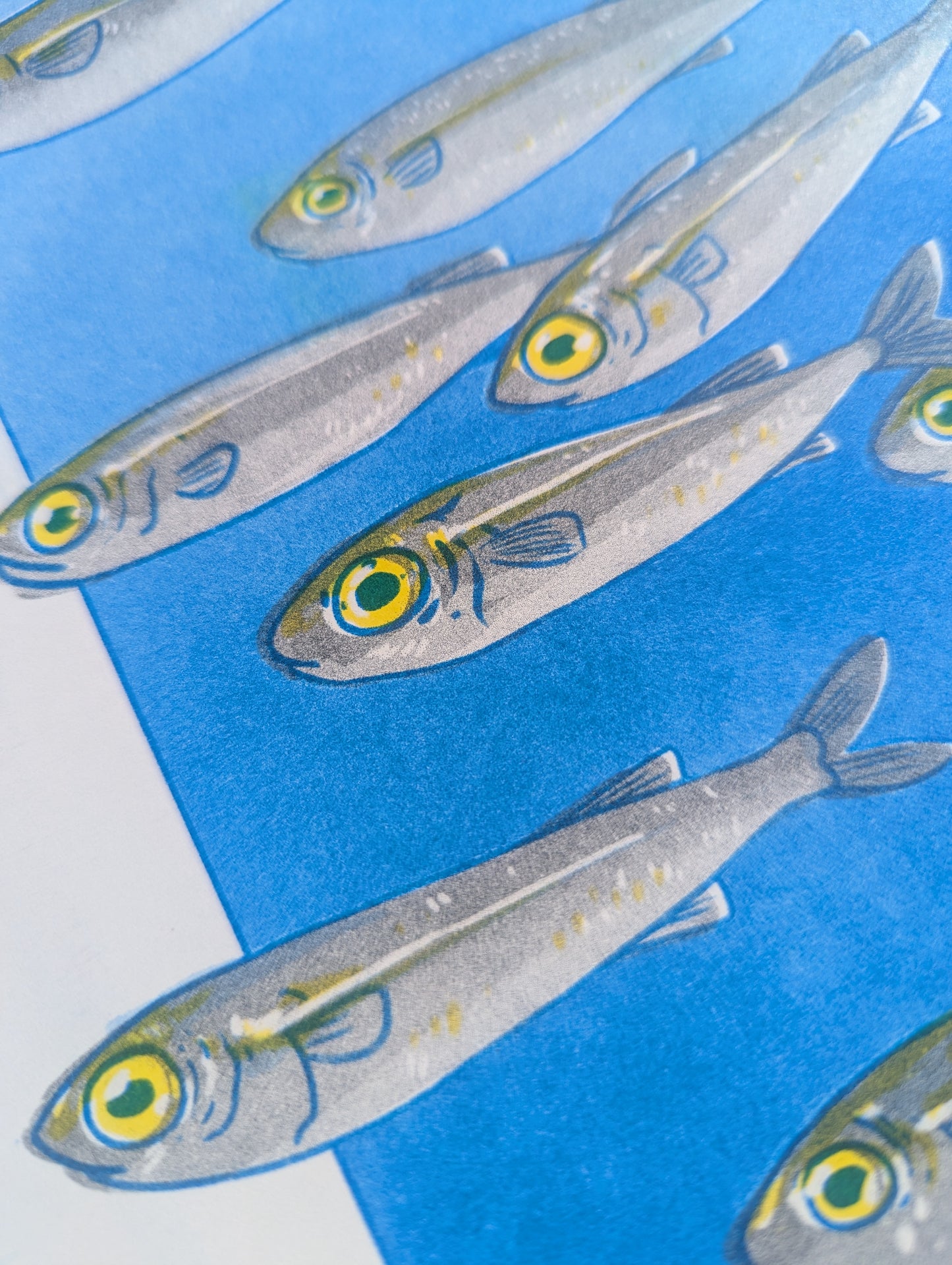 School of Fish | 8.5"x11" Risograph print
