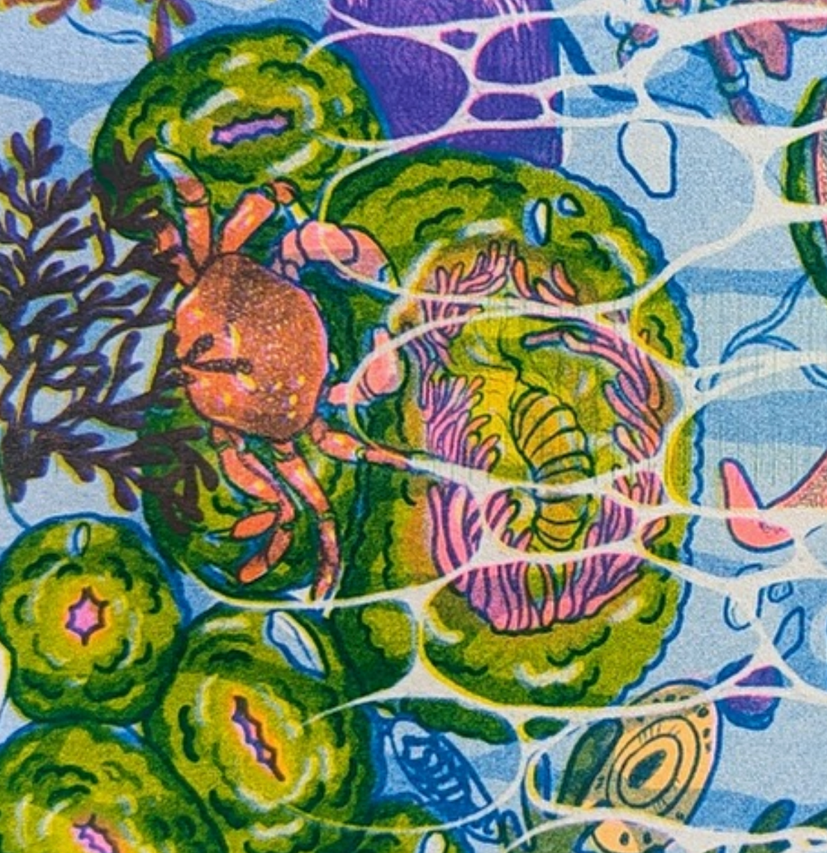 San Juan Tidepools | 8.5"x11" Risograph print