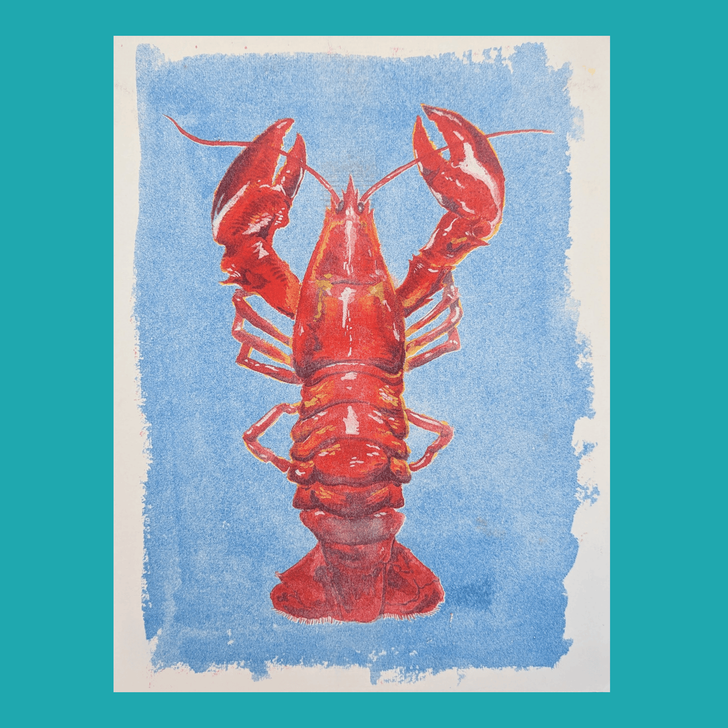 Watercolour Lobster | 8.5"x11" Risograph Print
