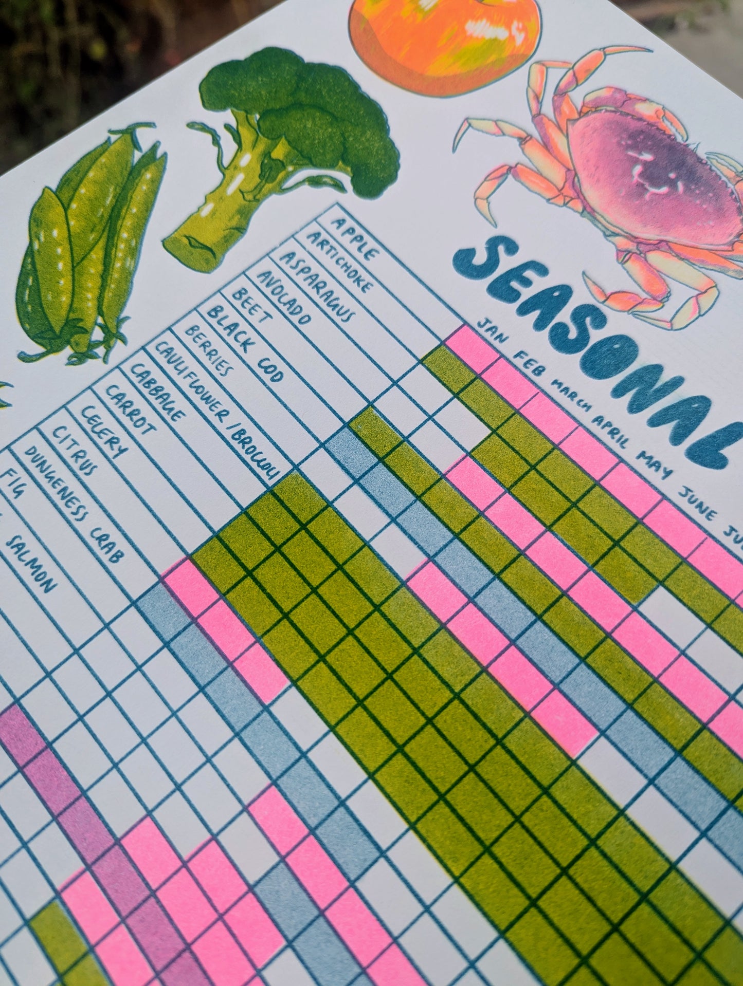 Seasonal Produce Guide | 11"x14" Risograph Print