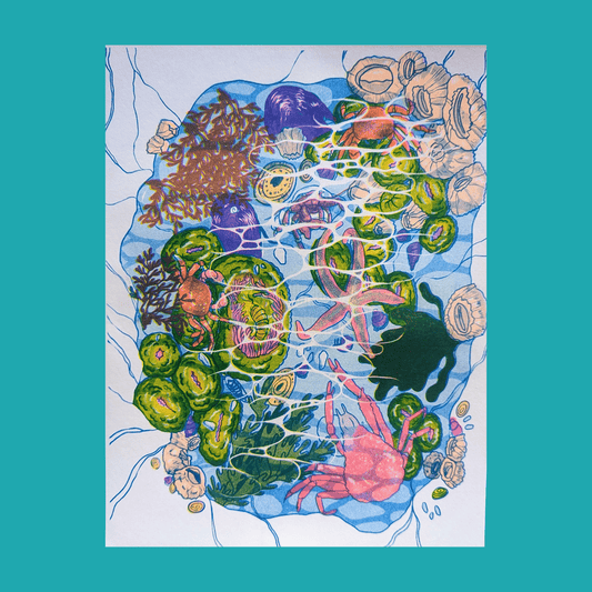 San Juan Tidepools | 8.5"x11" Risograph print