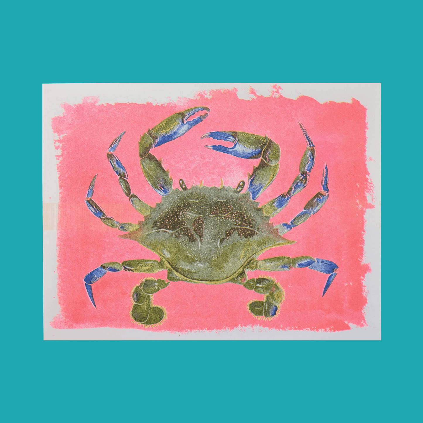 Watercolour Blue Crab | 8.5"x11" Risograph Print