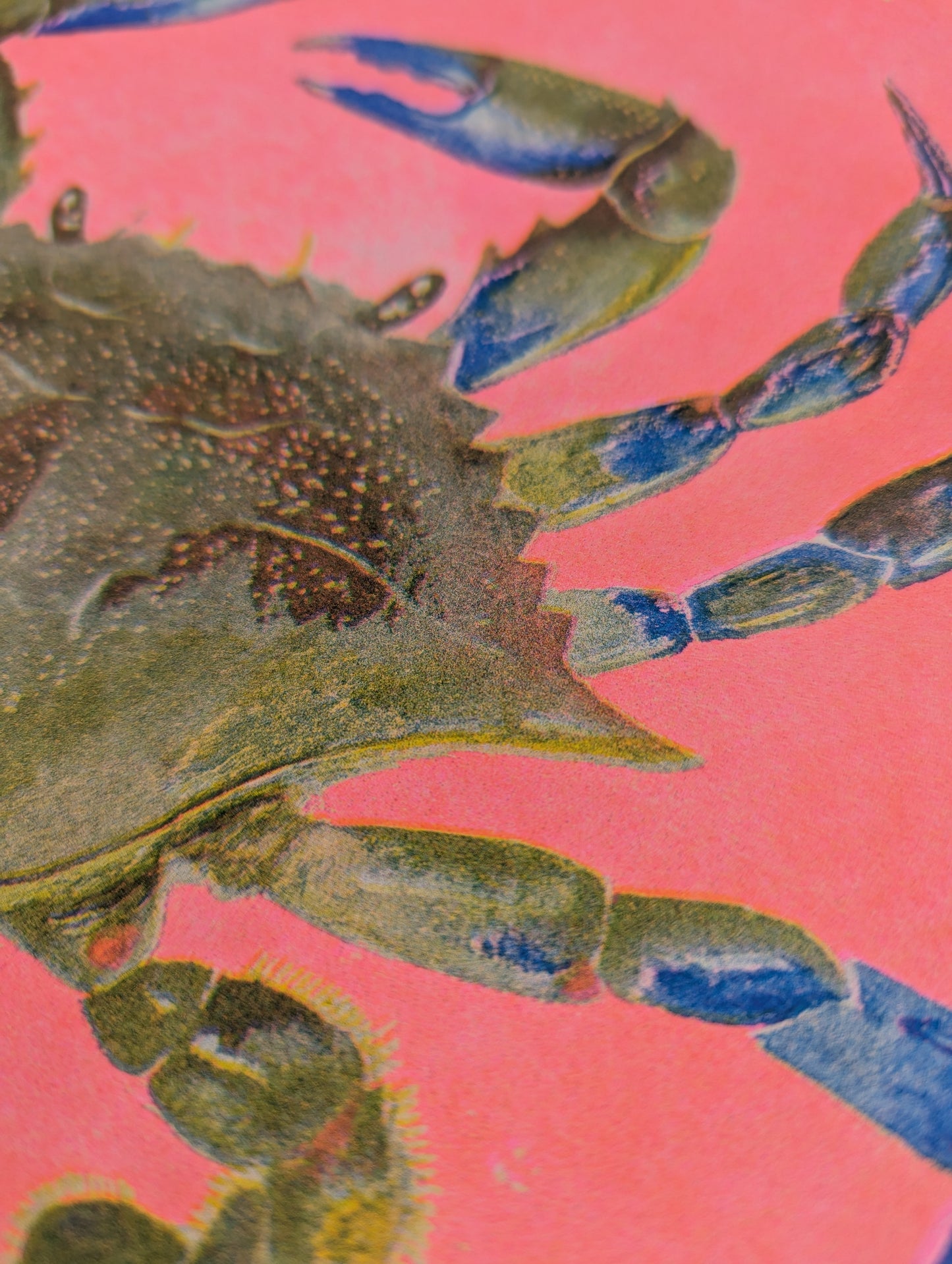 Watercolour Blue Crab | 8.5"x11" Risograph Print