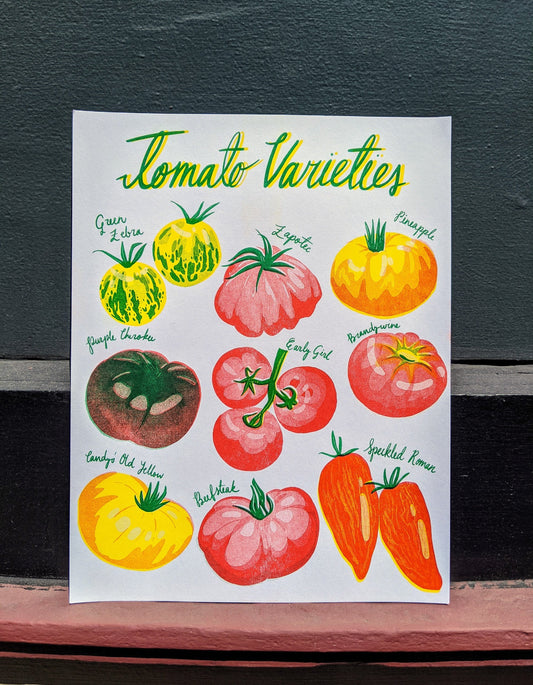 Risograph Tomato Print 8.5"x11" | Heirloom Tomato Art Print