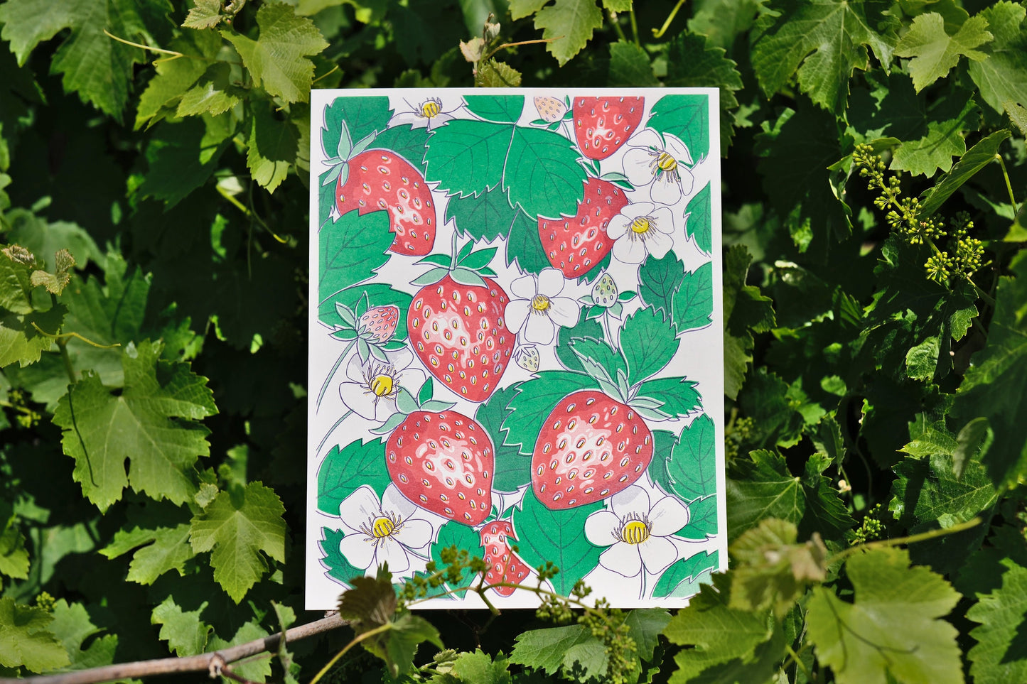 Strawberry Strawberries Risograph Print | 8.5"x11"